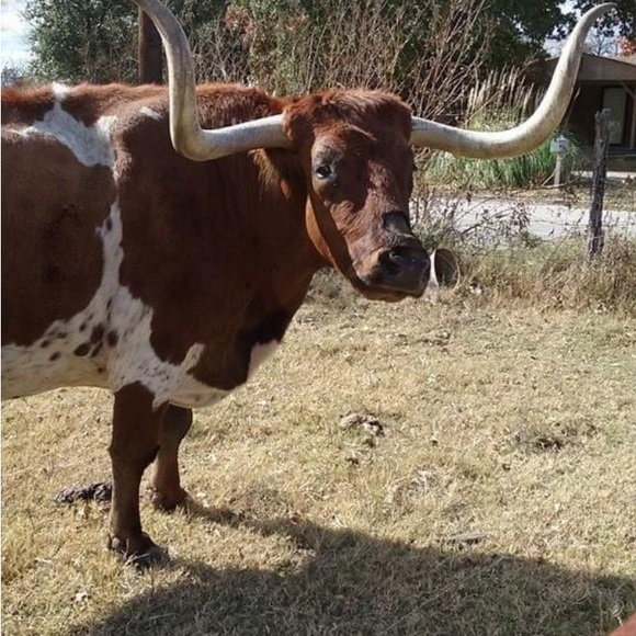 Meet your Posher, Christie - Picture 2 of 2